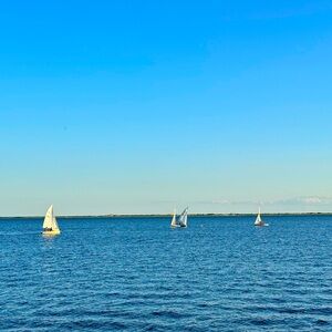 Meet your Posher, Tetiana